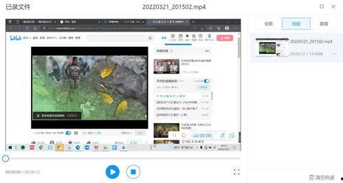 爆料视频录屏有声音吗,声音同步呈现,揭秘事件真相 第1张 爆料视频录屏有声音吗,声音同步呈现,揭秘事件真相 第1张